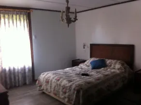 Vida Marina 2 - Image 5