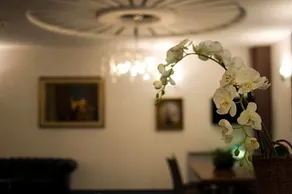 Royal - Image 2