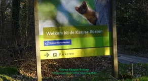 Utrechtse Heuvelrug - Image 2