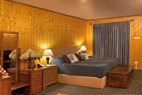 Nedous Hotel Gulmarg - Image 3