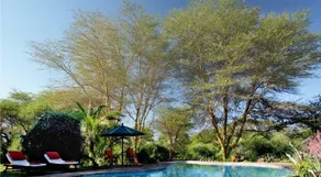 Elewana Tortilis Camp - Image 2
