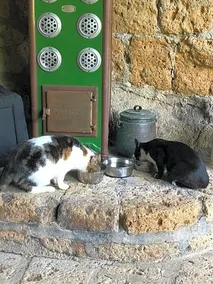 L'antico Molino B&B - Image 3