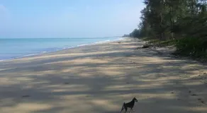 Living Room Bang Lut Beach Khaolak - Image 4