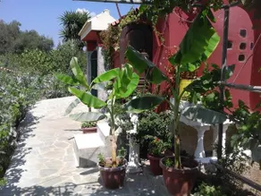 Malotu Resort - Image 5
