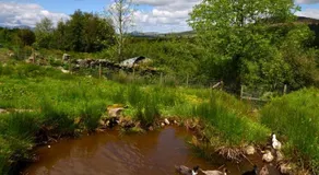 Maesgwm Farm Cottage - Image 3