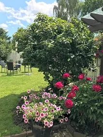 Dadas Bed & Breakfast - Image 5