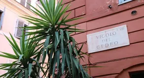 Cedro 28 Apartment - Image 3