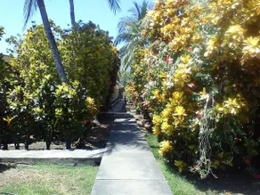 Cabinas Chale - Image 3