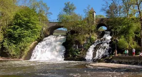 Au bord de l'eau - Image 5