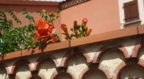 Le Patio - Image 3