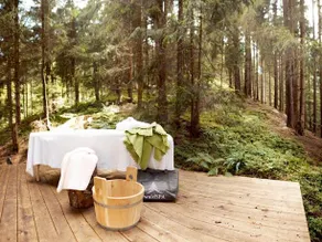 Naturhotel Forsthofgut - Image 2