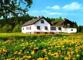 Gasthaus Pension Zum Brandweiher - Image 2