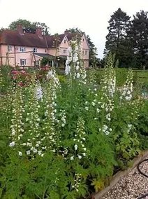 The Martins Bed & Breakfast - Image 4