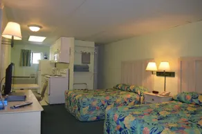 Palmetto Inn & Suites - Image 4
