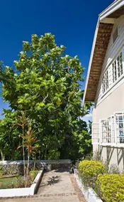 Liberty Hill Great House Resort & Spa - Image 4