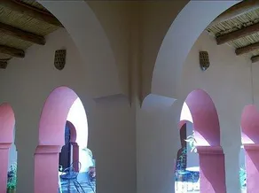 Riad Agraw - Image 2