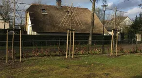 Tiny House in Amersfoort - Image 2