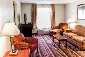 Comfort Inn near Rocky Mount Sports Complex - Image 4