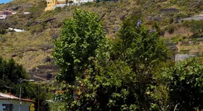 Villa Los Olivos - Image 2