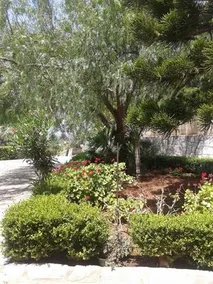 Villa Letizia - Image 5