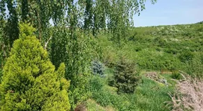 Pure Nature Refuge Apartment - Image 2