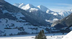 Bichler Sonja - Image 5