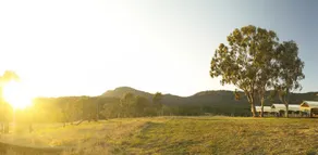 Spicers Canopy - Image 5
