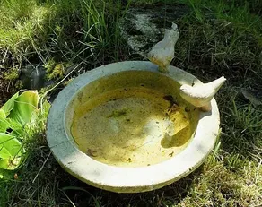 Herb Cottage - Image 2