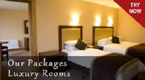 Hotel Siddharth Residency - Image 3