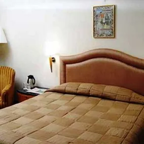 East Lite Hotel Agra - Image 2