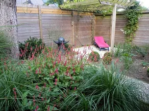 B&B Salus Wellness - Image 4