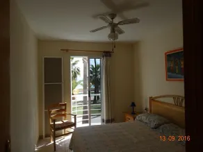 House Marlin - Image 5