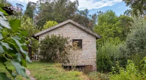Quinta Da Mata - Image 4