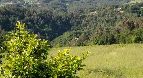 Casa Rosalia - Image 4