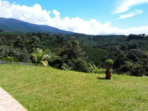 Supercostarica - Image 5