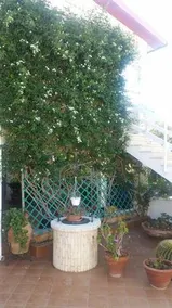 Delianick Holiday Home - Image 3