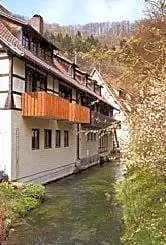 Forellenfischer - Image 4