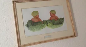 Eden des choux - Image 4