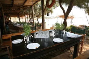 Vatsa club - Image 2