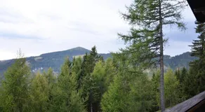 Ferienwohnung Berghoamat - Image 2