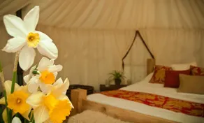 Plush Tents Glamping - Image 4