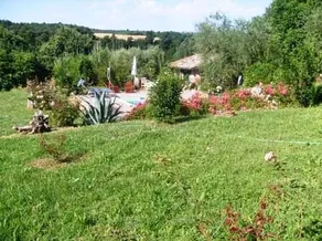 Il Fringuelletto - Image 2
