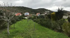 Megisti - Image 3