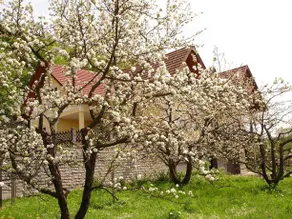 Landhaus Sudy - Image 3