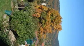 Ferienwohnung Bergblick - Image 4