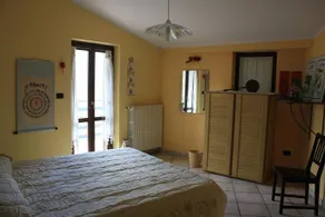 Lacero Campestre - Image 3