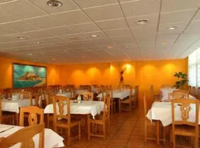 Camping Los Pinos - Image 2