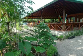 La Jovisena - Image 5
