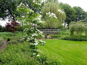 B&B 't Hekkert - Image 5