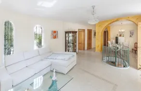 CUA DE JONC - Image 4